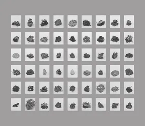 100 Hectares of Understanding artwork