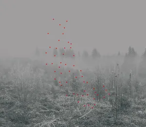 100 Hectares of Understanding artwork