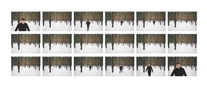 100 Hectares of Understanding artwork