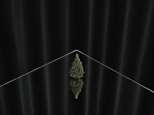 100 Hectares of Understanding artwork