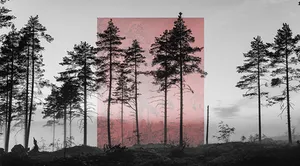 100 Hectares of Understanding artwork