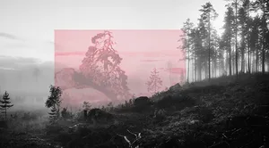 100 Hectares of Understanding artwork