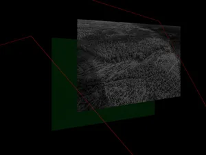 100 Hectares of Understanding artwork