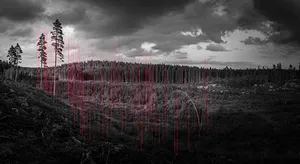 100 Hectares of Understanding artwork