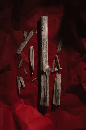 100 Hectares of Understanding artwork