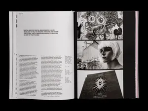 RESET publication