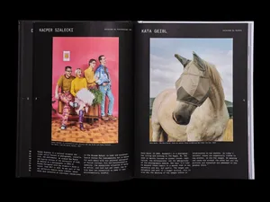 RESET publication