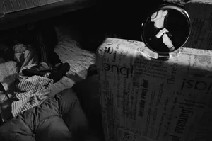 2402. War Diary artwork