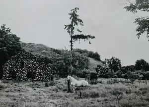 Avoided Objects (In Search Of Genius Loci I) artwork