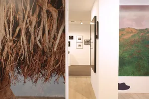 Exposition METAMORPHOSIS