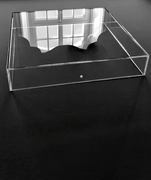 The Object Of Scorn artwork