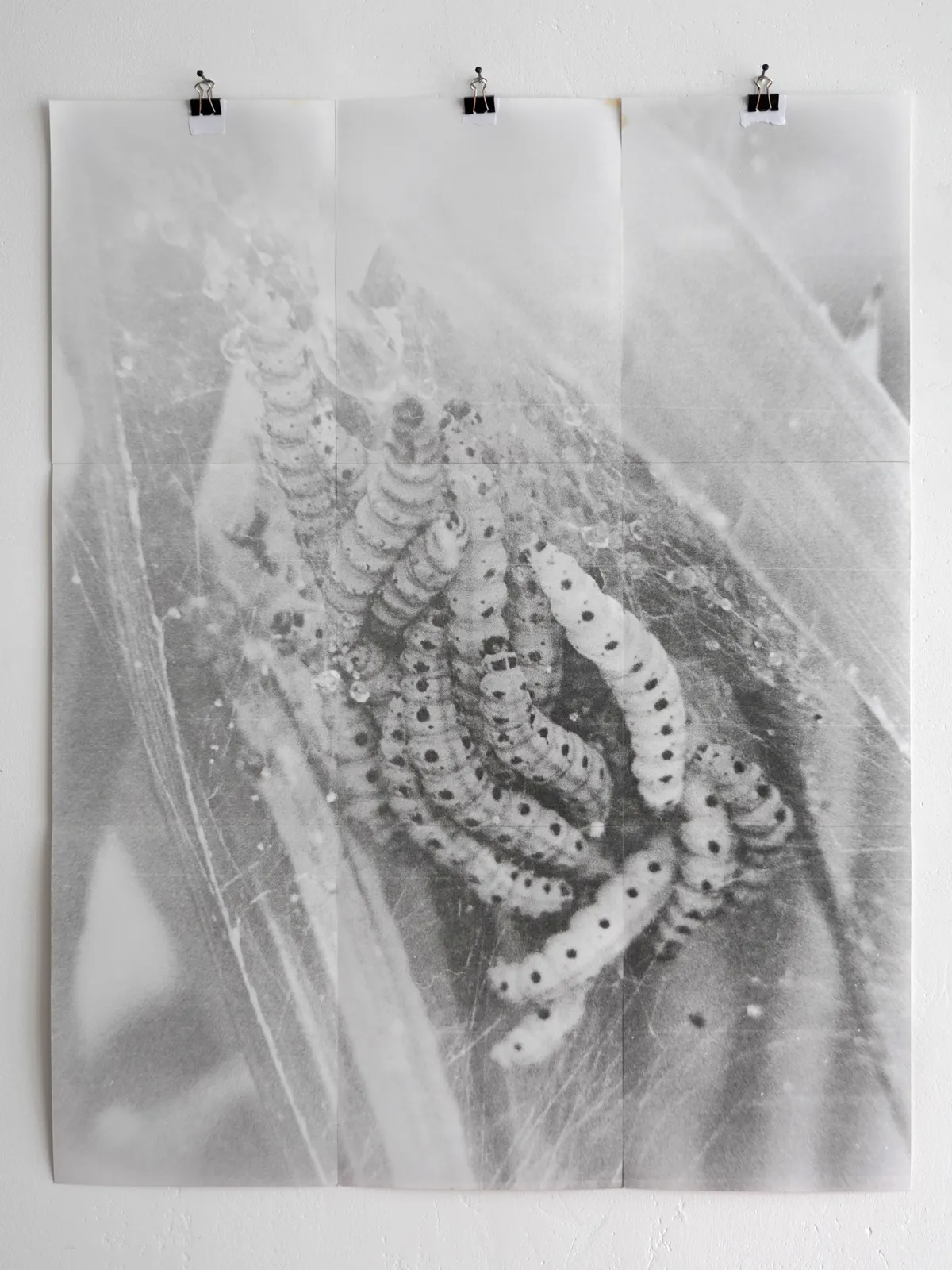 Benedetta Casagrande in Conversation with Taco Hidde Bakker