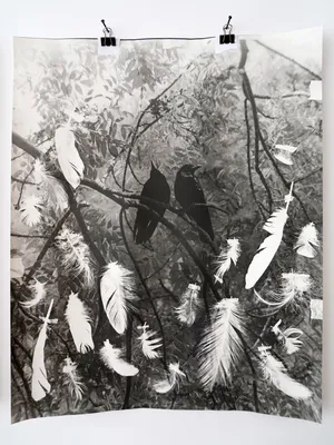 Artwork from Benedetta Casagrande