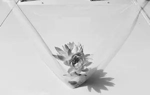 Kintsugi 金継ぎ artwork