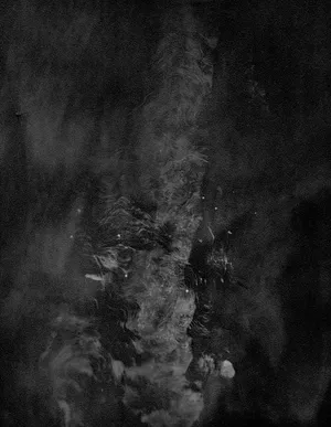 Silver Pine Trees artwork
