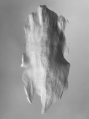 Silver Pine Trees artwork