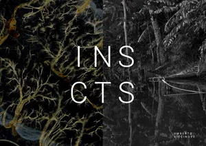 I N S C T S artwork