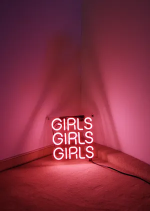 I Want Orgasms, Not Roses artwork