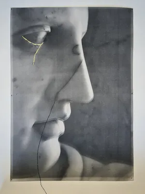 The Object Of Scorn artwork