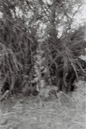 I'm in Trouble With You artwork