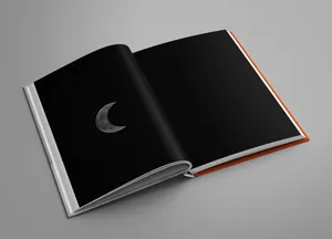 The Killed Book artwork