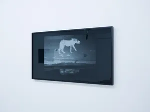 Screen Works artwork