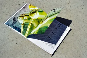 HYBRID publication
