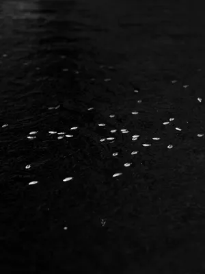 One dark night, Lazarus disappeared artwork