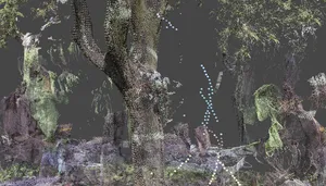 Between Seed and Tree - Hiền Hoàng in Conversation with Taco Hidde Bakker