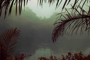 A Derailing Beauty, On Léonard Pongo’s Primordial Earth Series