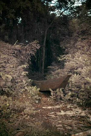 A Derailing Beauty, On Léonard Pongo’s Primordial Earth Series