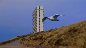 A Million dollar view artwork