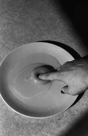 Against Domestication artwork