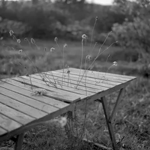 All these goodbyes artwork