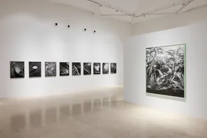 All things laid dormant artwork