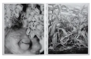 All things laid dormant artwork
