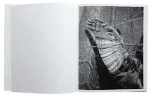 All things laid dormant artwork
