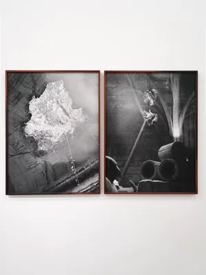 All things laid dormant artwork