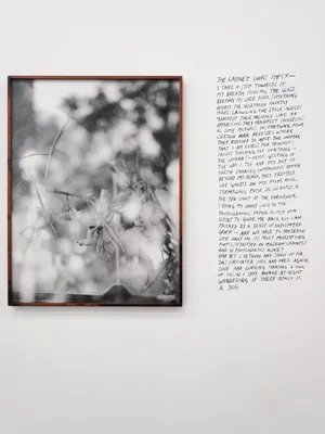 All things laid dormant artwork
