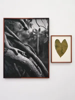 All things laid dormant artwork