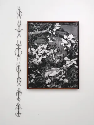 All things laid dormant artwork