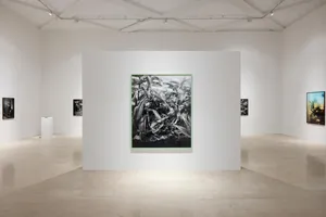 All things laid dormant artwork