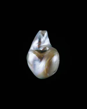Anatomy of an Oyster artwork