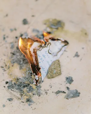 Anatomy of an Oyster artwork