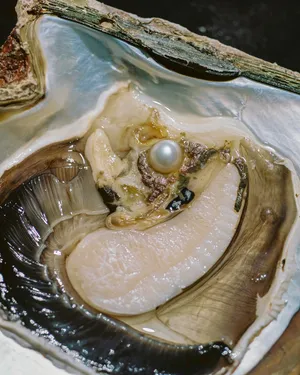 Meet the artists nominated by PhotoEspaña in 2023