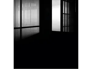 And live the space of a door artwork