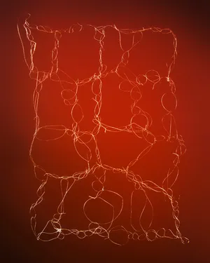 Traces of Support artwork