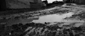 Anticline artwork