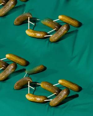 Apparatus of Joy artwork