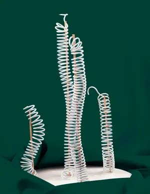 Apparatus of Joy artwork